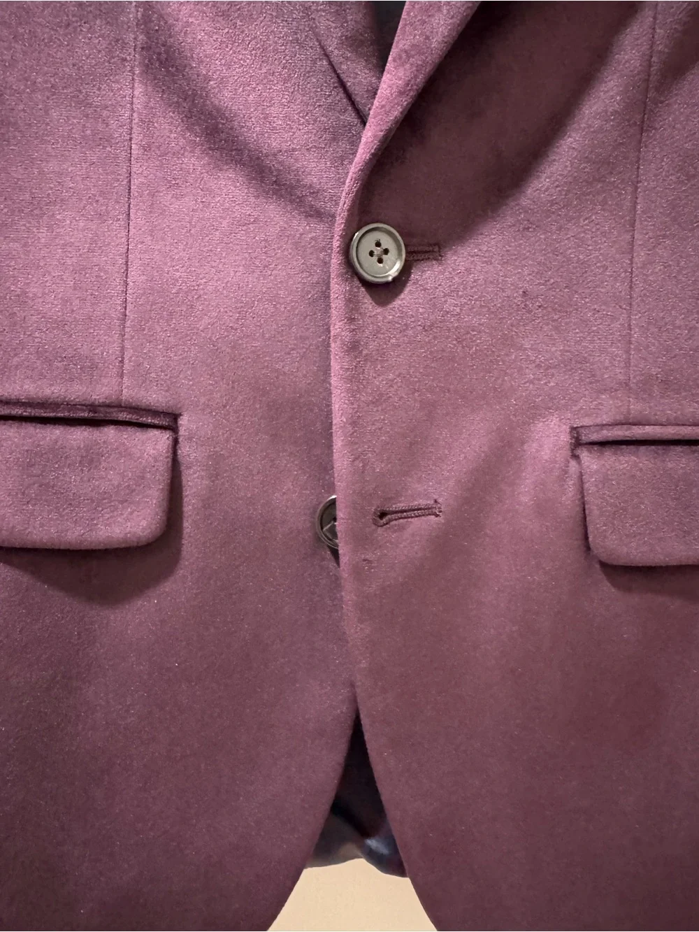 Lauren Ralph Lauren Deep Velvet Blazer in Deep Plum